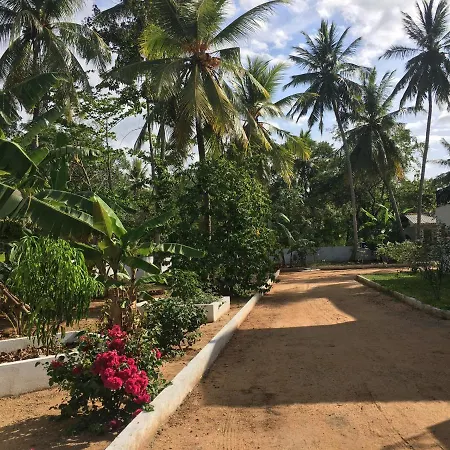 Royal Villa-2